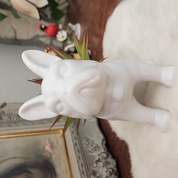White Bulldog Planter with Green Succulent - Picture 2 of 2